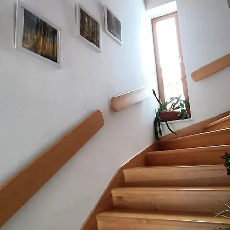 Gerlachov - Anna Bajzikova בית נופש *