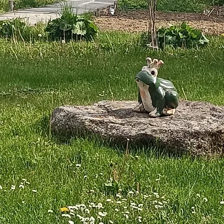 Gerlachov - Anna Bajzikova 펜션 게를라호우