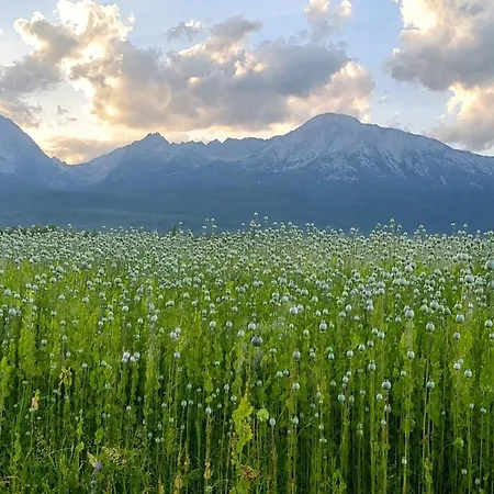 Gerlachov - Anna Bajzikova * Gerlachov (Poprad)