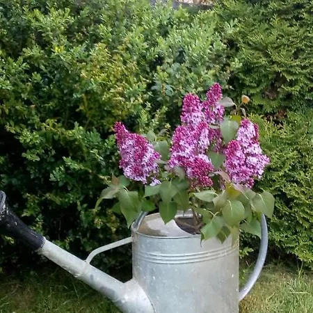 Gerlachov - Anna Bajzikova * 게를라호우